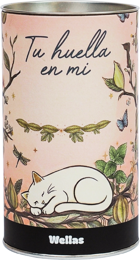 Gatito eterno