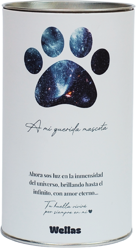 Huella infinita